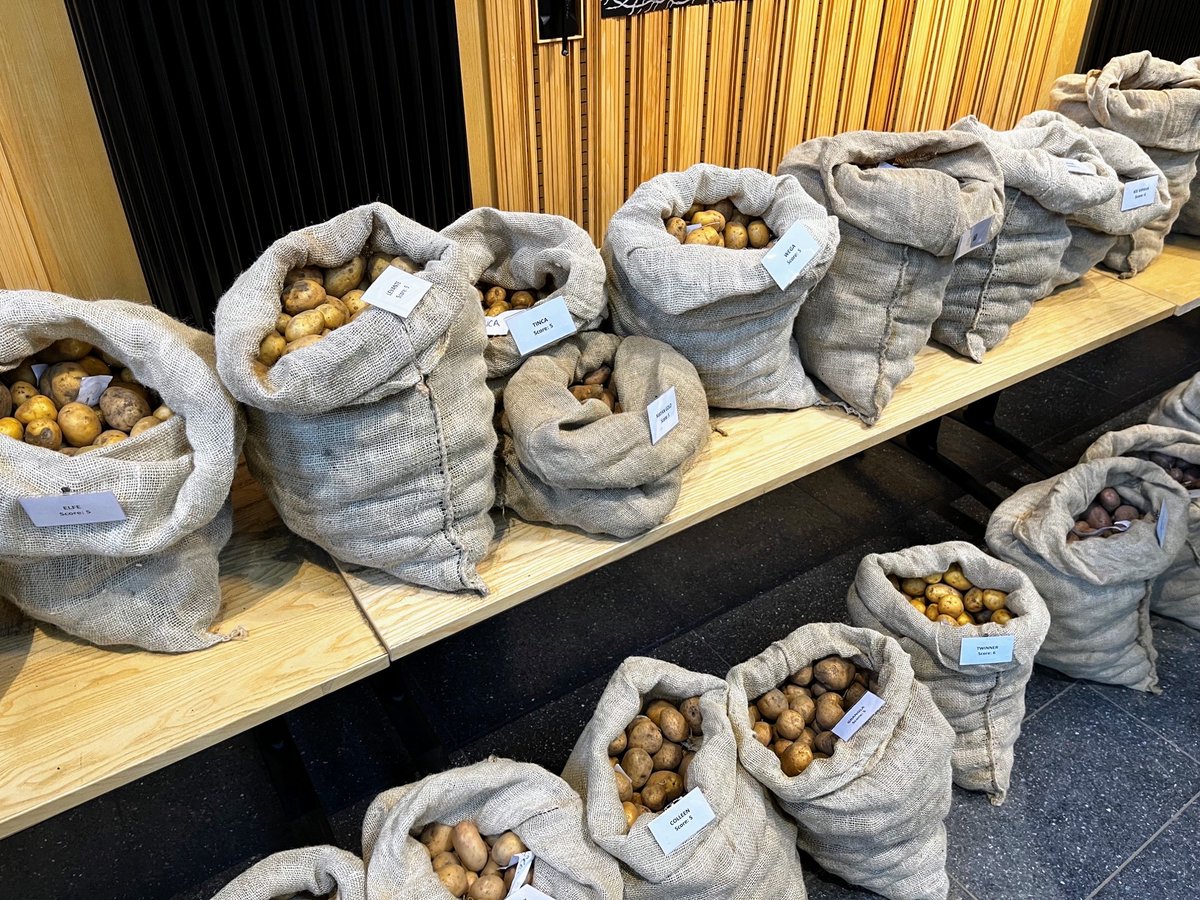 drjoshdoeslaw's tweet photo. Free spuds! Genuinely can't remember the last time I felt this much pure joy! #spudfest https://t.co/XMY0dn7M2Z