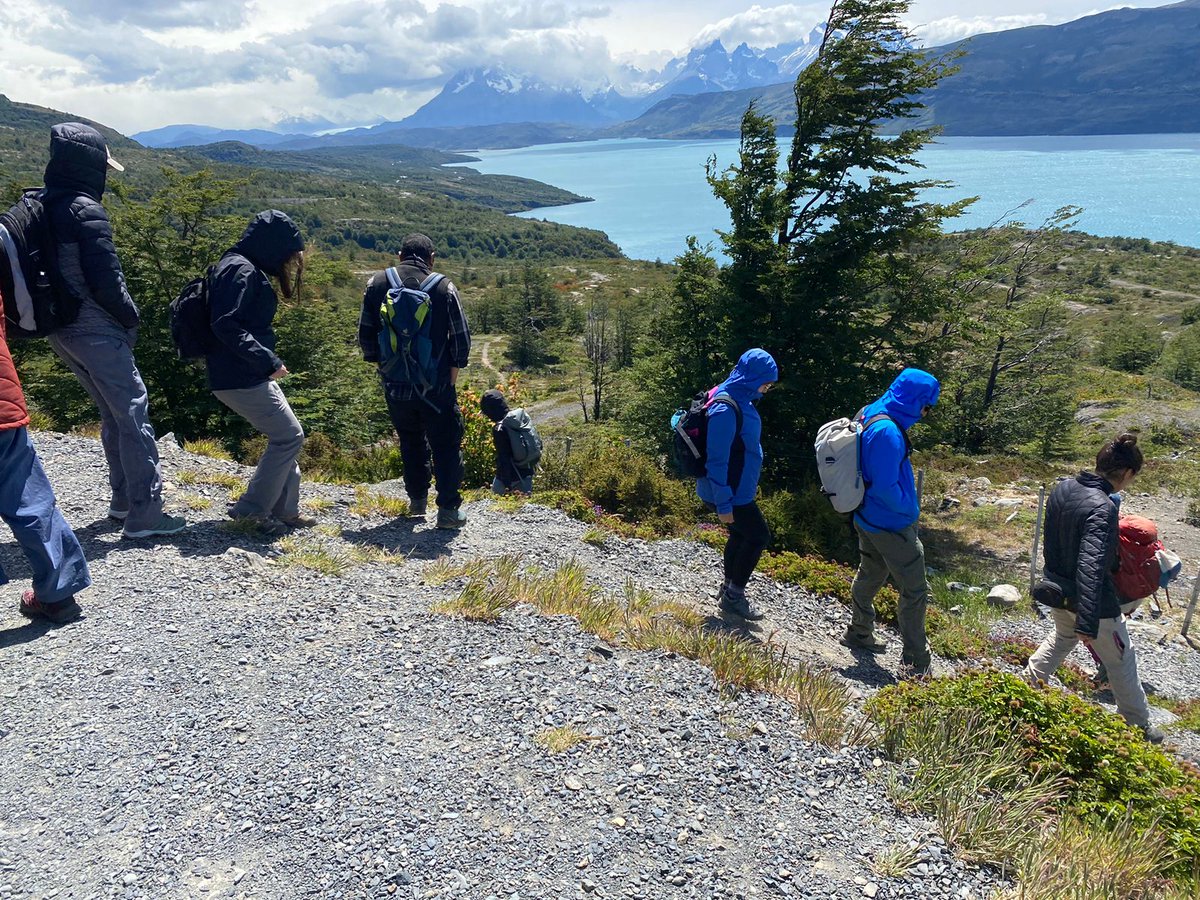 El 5to Curso de Instrucción a la Botánica dictado por el investigador de INIA Erwin Domínguez, contempló además de clases teóricas, la observación de la flora del Paine, generando un interacción entre los alumnos y su entorno, como se puede apreciar en la siguientes fotografías.