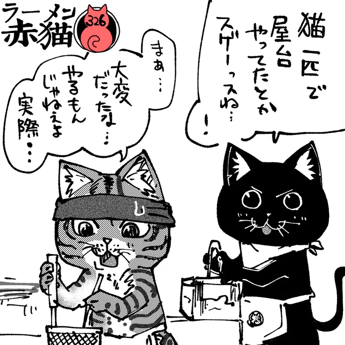 尊敬っス
#ジャンププラス #ラーメン赤猫
38話 https://t.co/CFlcpa71rM 