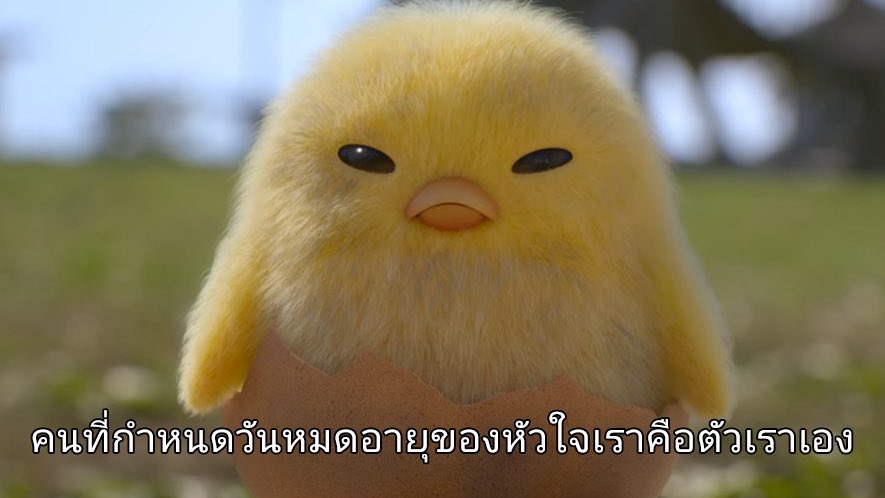 L O L A tweet media