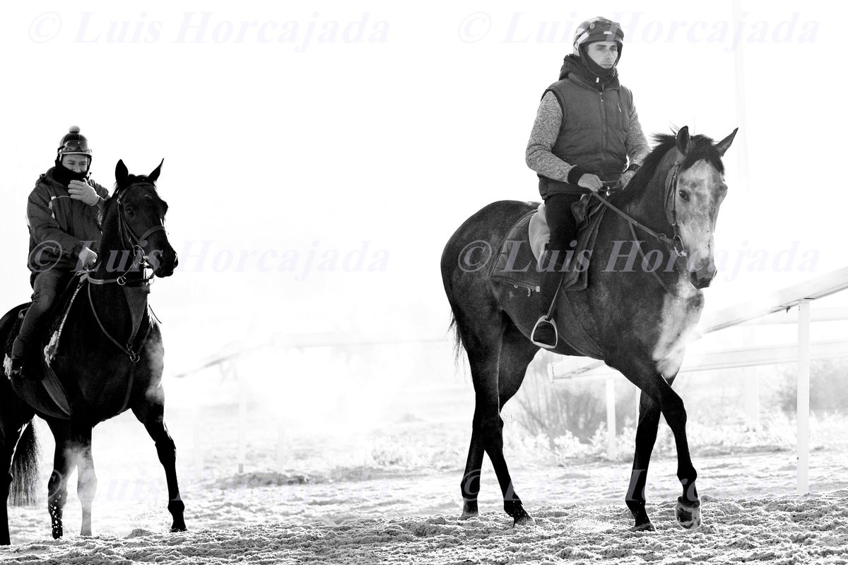 UMATURF's tweet photo. Mucha vocación, mucha pasión. La vida a caballo.
Hipódromo de la Zarzuela.
#Invierno
#Galopes
@HipodromoMadrid
🏇🌨️
📷@LuisHorcajada66 https://t.co/40LZcDilVq