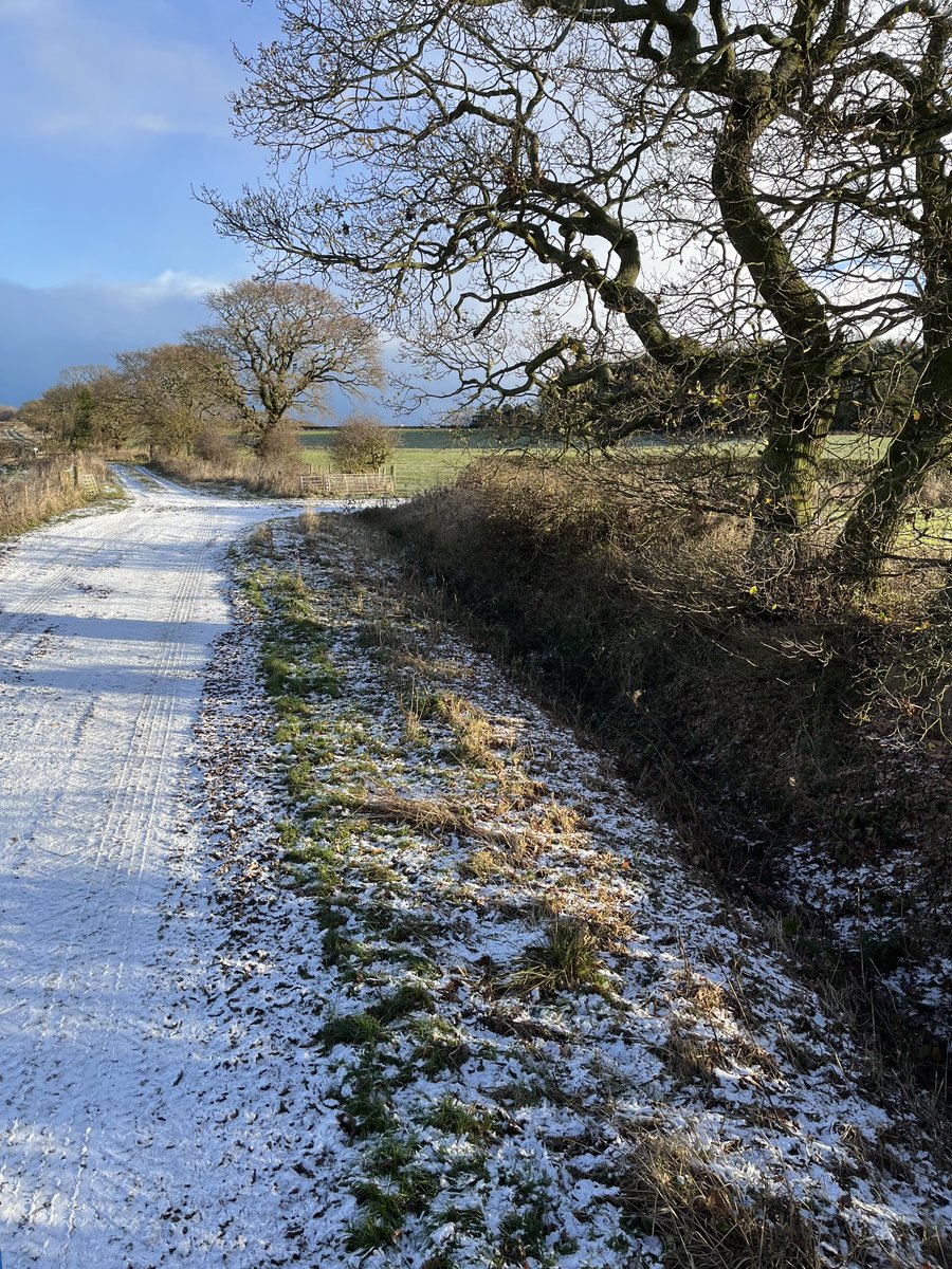 SustEnvFarming's tweet photo. Biting bright day at #cocklepark ⁦@NFUnortheast⁩ ⁦@NFUtweets⁩ #cropsboard #newcastleuni 
Snow on the Cheviot, 1896 Palace Leys, biomass agroforestry, covers, mob vs herbal -huge amount going on #research #farming https://t.co/UO0qUC4a3r