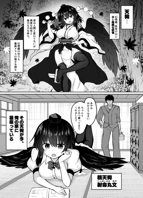 こんな感じの本です 