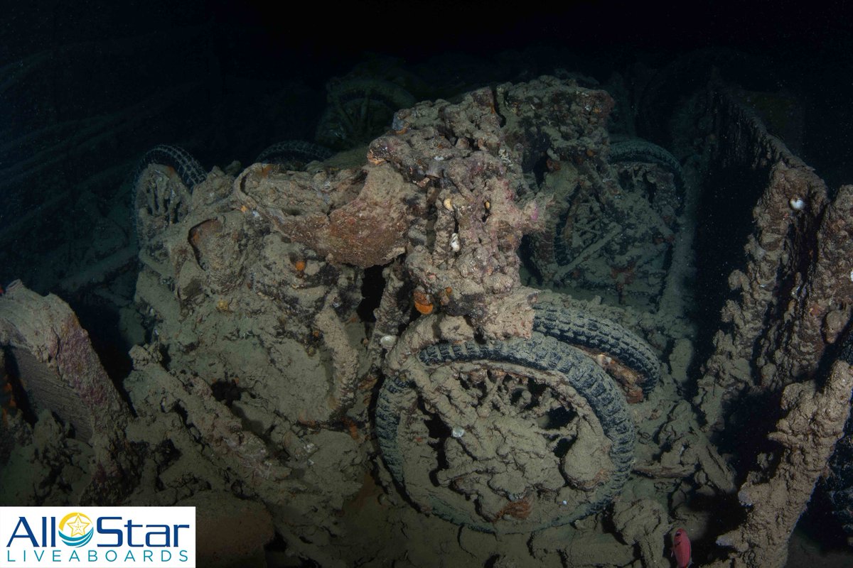DiveASL's tweet photo. Have you ever seen motorcycles underwater? Inside the Thistlegorm wreck, you can find lots!
~Red Sea
#allstarliveaboards #redsea #egypt #wreckdiving #thistlegorm #motorcycle #allstarredsea #thisisegypt https://t.co/aOk1GrswHu