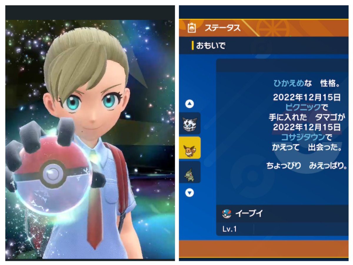 ソードシールド ゴージャスボールの入手方法と効果まとめ ポケモン剣盾 攻略大百科 ソードシールド ゴージャスボールの入手方法と効果まとめ ポケモン剣盾 攻略大百科