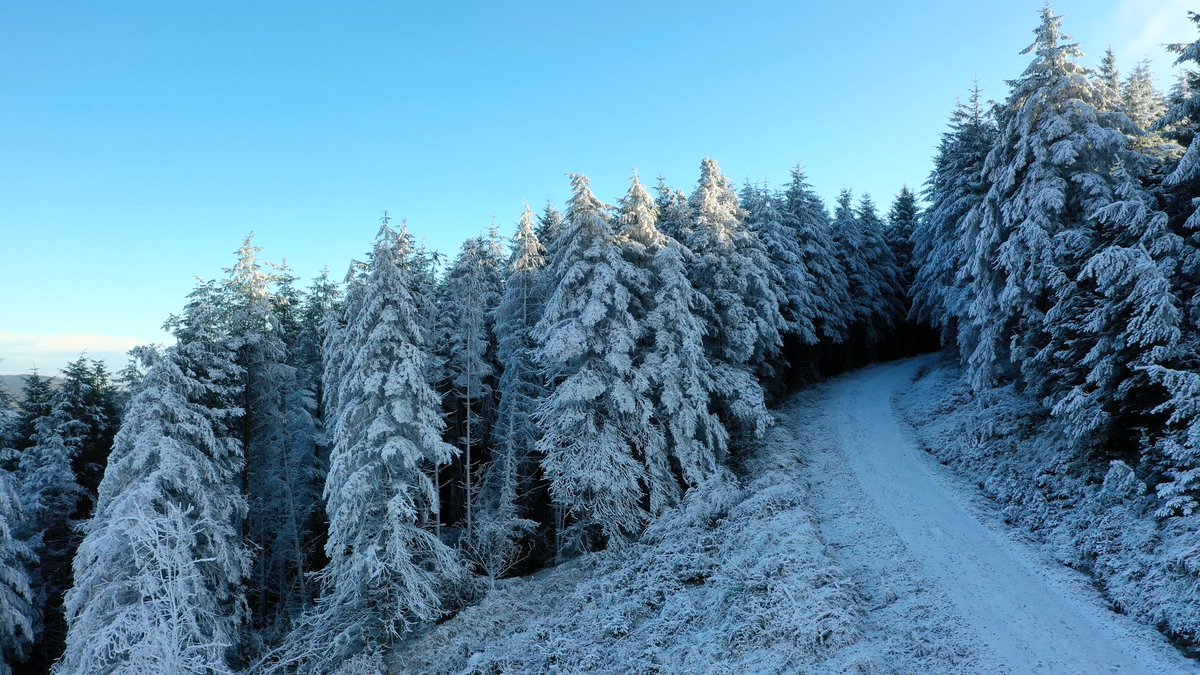 CarlowWeather's tweet photo. Still below 0c in many areas at lunchtime today. A wintry scene in the Blackstairs Mountains in Carlow.

Some days you just want to blend in, like the @AutoimageCW @DaciaIreland Jogger in white I’m test driving today 😄
#BrandAmbassador https://t.co/6PqzCClKP8
