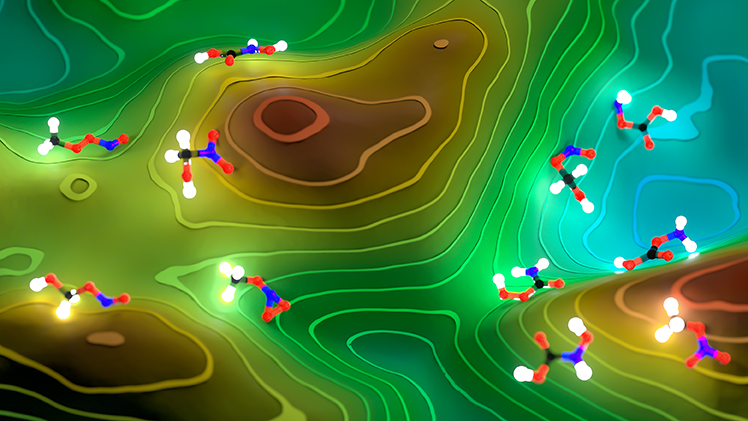 Dr Anna Tanczos tweet media