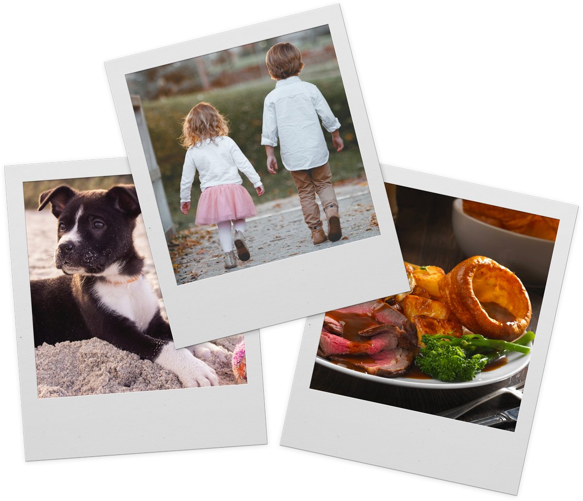 mortonhouseuk's tweet photo. Great Deals Post Christmas  🌟 - https://t.co/xDxY5YAqCx https://t.co/1or4rZLsF8