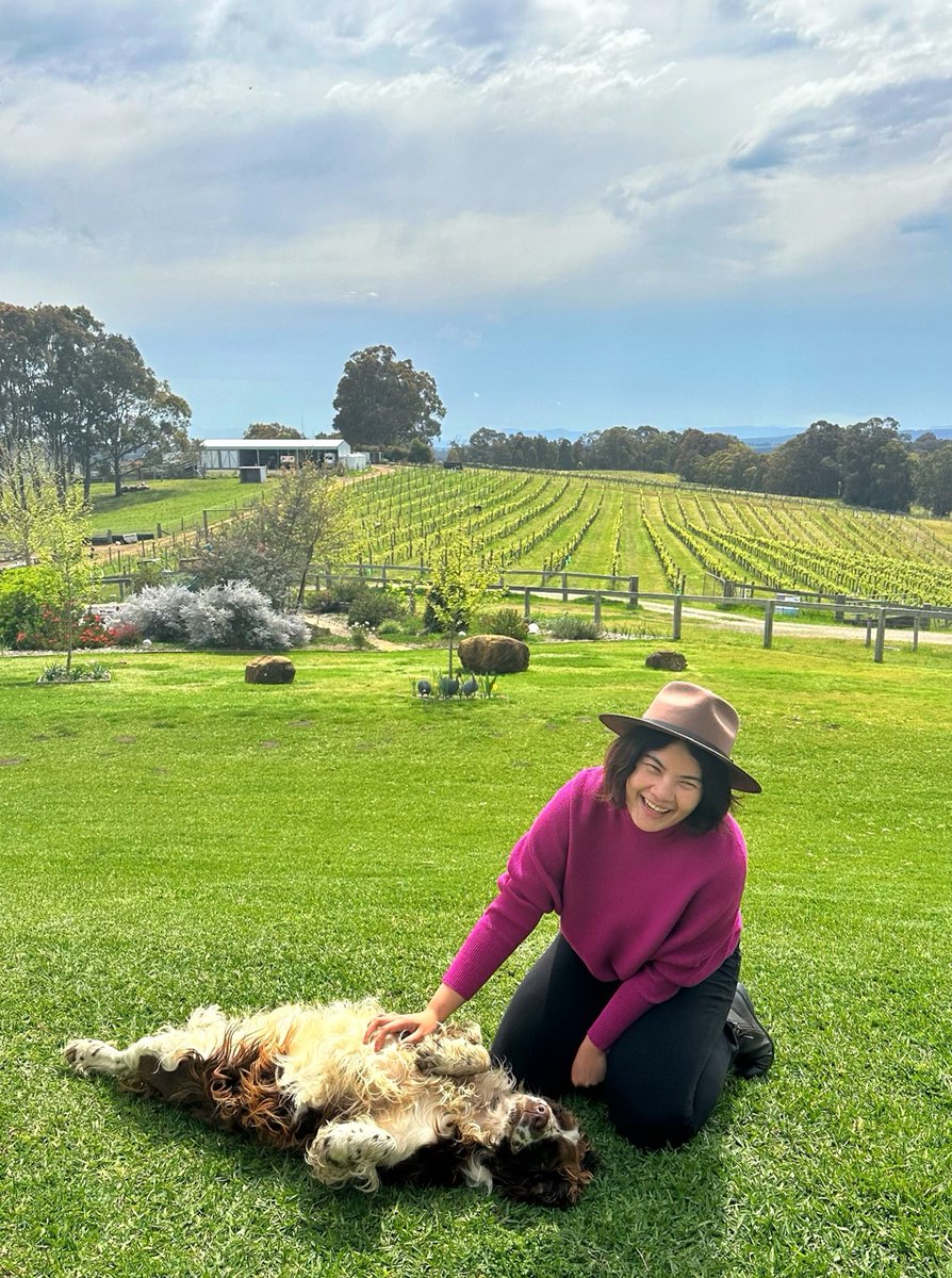 PG Forsta tweet media