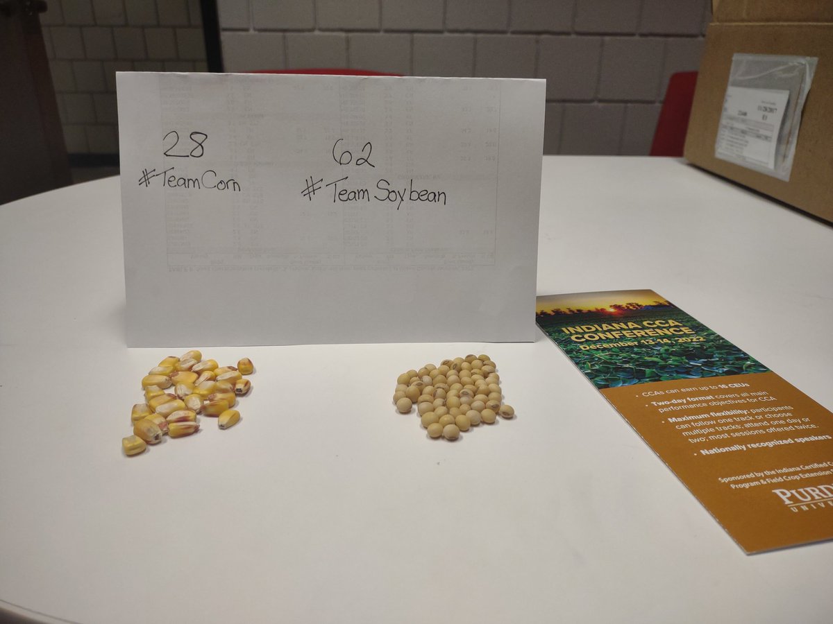 Laura Lindsey tweet media