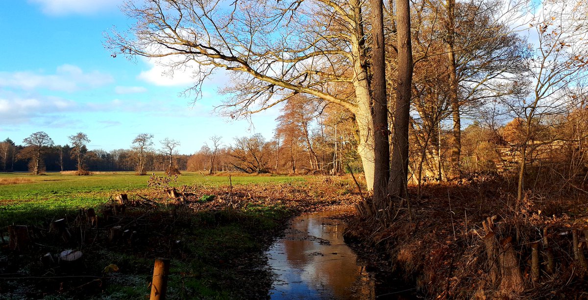 Beekloopje Wissel-Tongeren. Een van de routes voor de Veluwse beeklopengids met @WolfsWandelplan