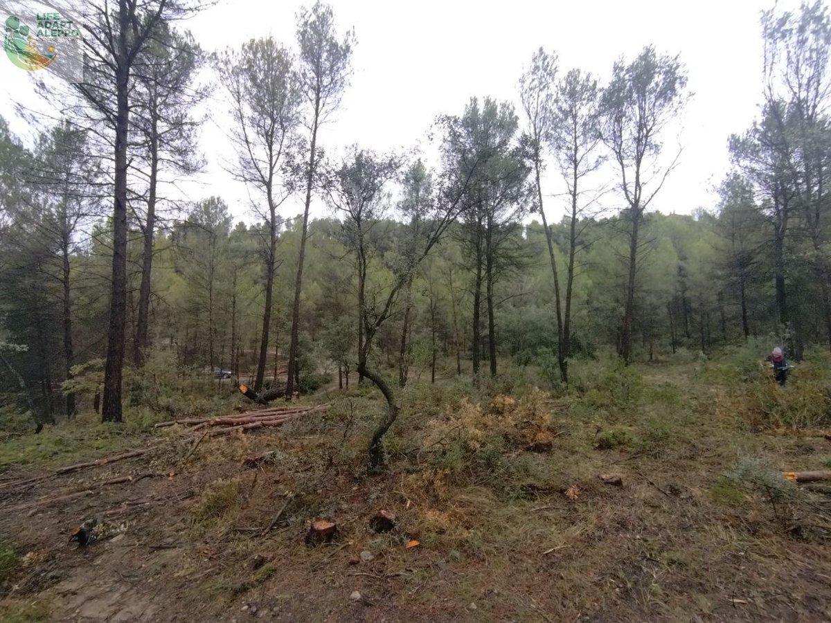 LIFE ADAPT-ALEPPO tweet media