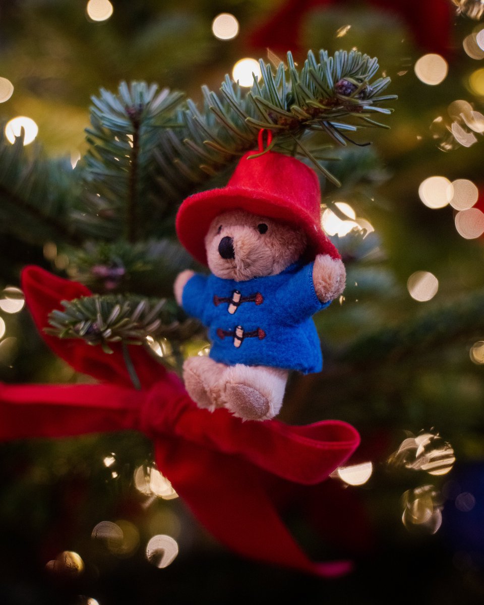 KensingtonRoyal's tweet photo. Getting ready to welcome our #TogetherAtChristmas guests, celebrating those who have gone above and beyond in their communities and paying tribute to Her Late Majesty The Queen https://t.co/AdEzxFxPfQ
