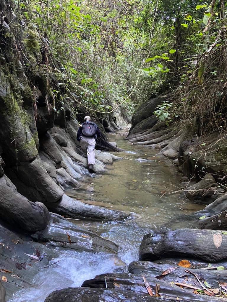 mizoraminsta's tweet photo. Hualngohmun lui kurung | Mizoram
.
.
Pic credit 📷 @saiaralte
.
.
.
#kurung #river #nature #rockstructures #rock #conyon #gorge #cliff #escarpment #hualngohmun #mizoram #mizoraminsta #northeastIndia #adventure #explore #discover https://t.co/1oC2PpHxxq