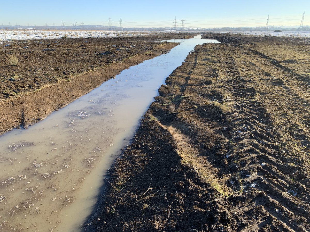 markasmart's tweet image. Some days you feel like you are making more of a positive impact from breeding wader than others, even though it is the main focus of what I do.  Today is one of those. Working on the Hoo Peninsula in Kent. From one to the other in under an hour.