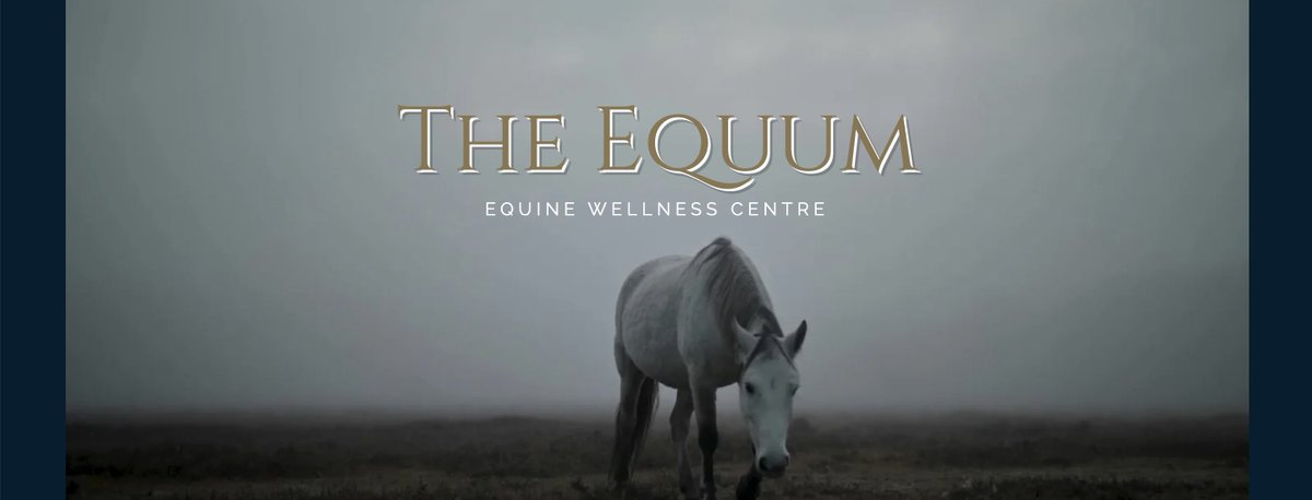 TPdwixprodesign's tweet photo. Our latest @Wix website is live for @TheEquum - a tight turnaround in just over a week but we did it! #wixdesigner #webdesigner #equinewellnesscentre #designer #Wix #WixPartner 

https://t.co/hoslLcME6m https://t.co/q03ClNiDwS