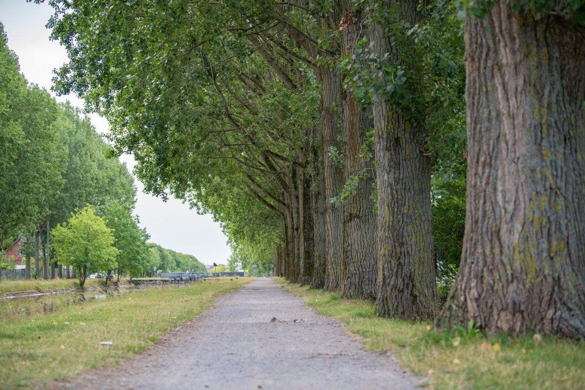 Ville de Roubaix tweet media