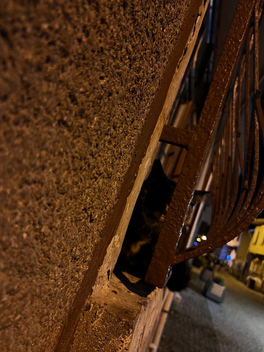 Ramazan Bulut (@ramazan07472532) on Twitter photo 