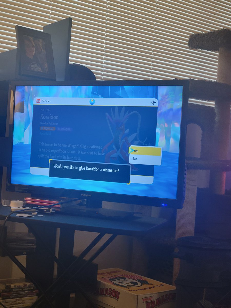 Ian Cocking tweet media