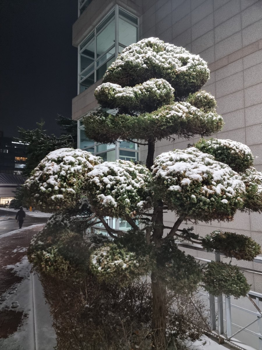 IamCalmy's tweet photo. Playing with snow โ๏ธ was amazing....
I'll... next time.
#snowfall #Snowman #Snowducks #Seoul #Nature #NaturePhotography #MobilePhotography https://t.co/amS408M9k0