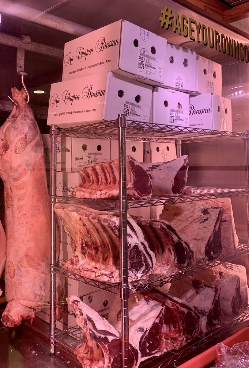 arno_veenhof's tweet photo. En ondertussen... Het eerste Bresse-gevogelte vliegt binnen! Weet jij al wat je eet tijdens de feestdagen?
🎄 https://t.co/fZMEW1Szqb 
#kerstdiner #christmasdinner #bresse #gevogelte #kalkoen #turkey #piecederesistance #kwaliteit #smaak https://t.co/jI8tMM7jQ7