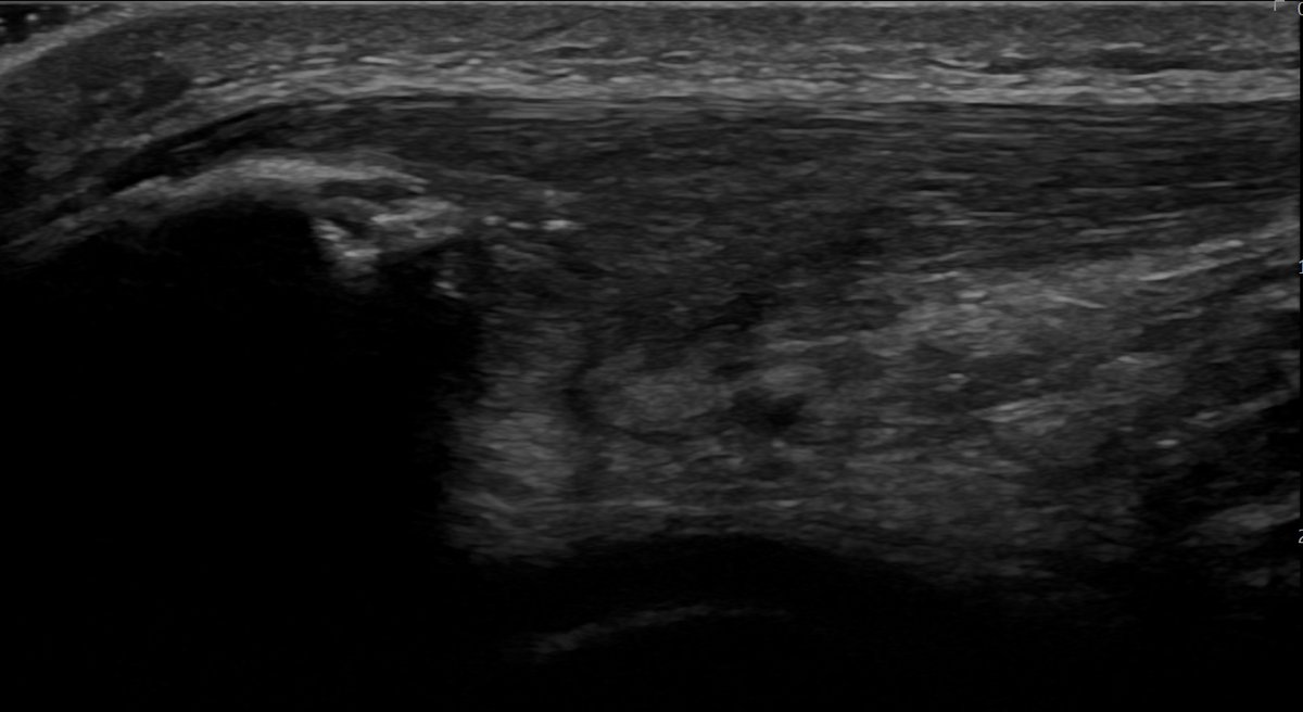 James Noake tweet media