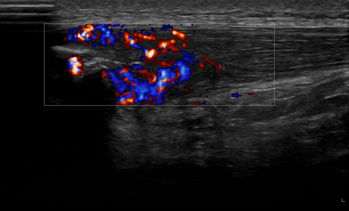 James Noake tweet media