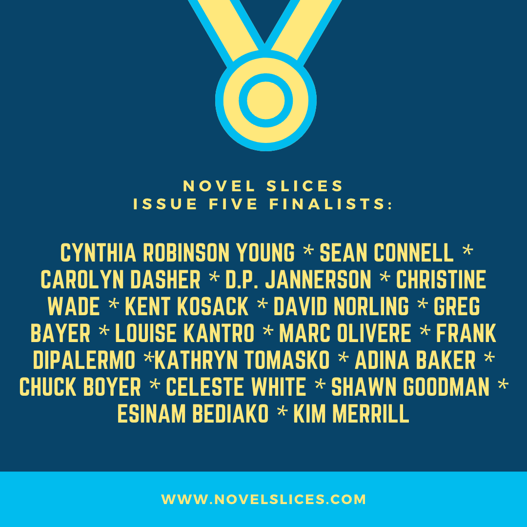 NovelSlices tweet picture