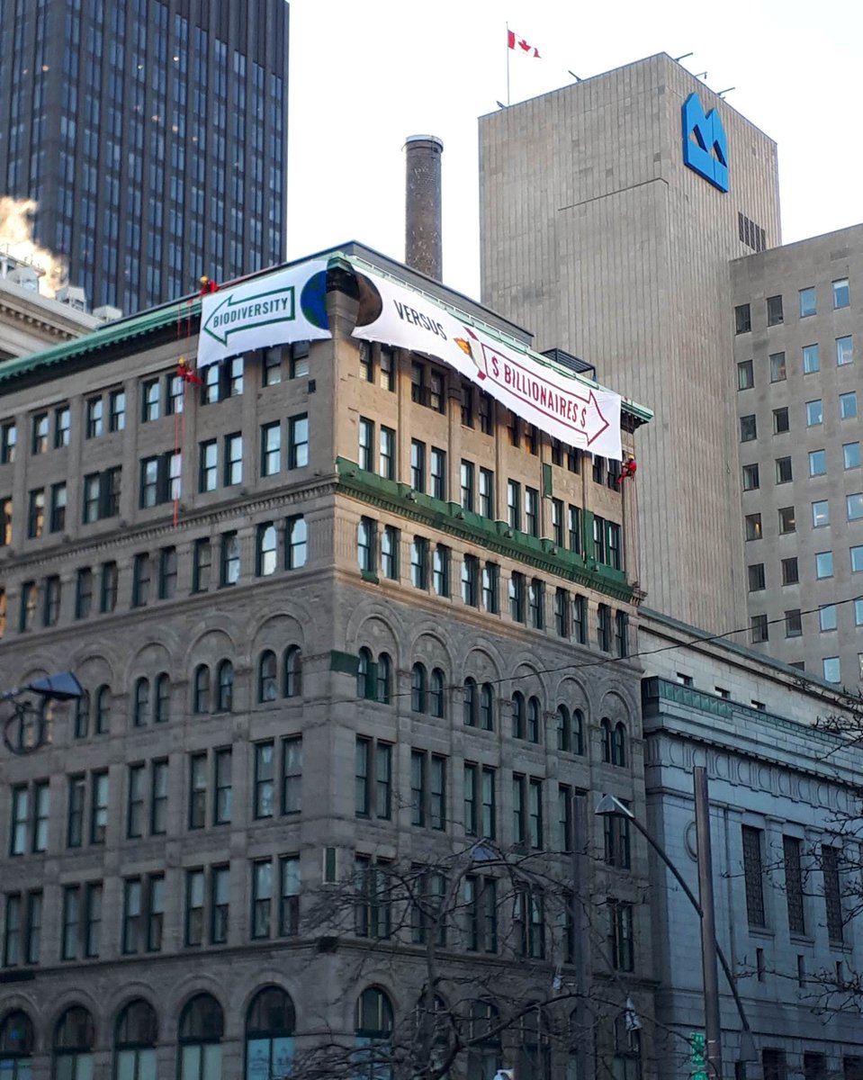 VigilOGM's tweet photo. ACTION EN COURS
Des activistes installent une bannière de 80 pieds «La #biodiversité contre les milliardaires», face au Palais des Congrès de Montréal. https://t.co/tRwx8Z4420
@ETC_Group @FoEint @VigilOGM @coll_antigone @GFC_forests @IENearth @CBDAlliance @Copagen_Abidjan
#COP15 https://t.co/mxNRkX5ior