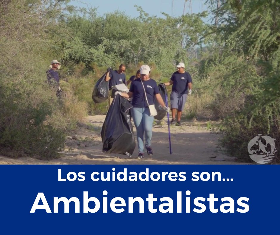 ADEMM62964081's tweet photo. Los especialistas en mamíferos marinos también aportan a las labores sociales como la limpieza de playas.
#limpiezadeplayas
#CompromisoAmbiental
#ademm https://t.co/W6H7PVhlzw