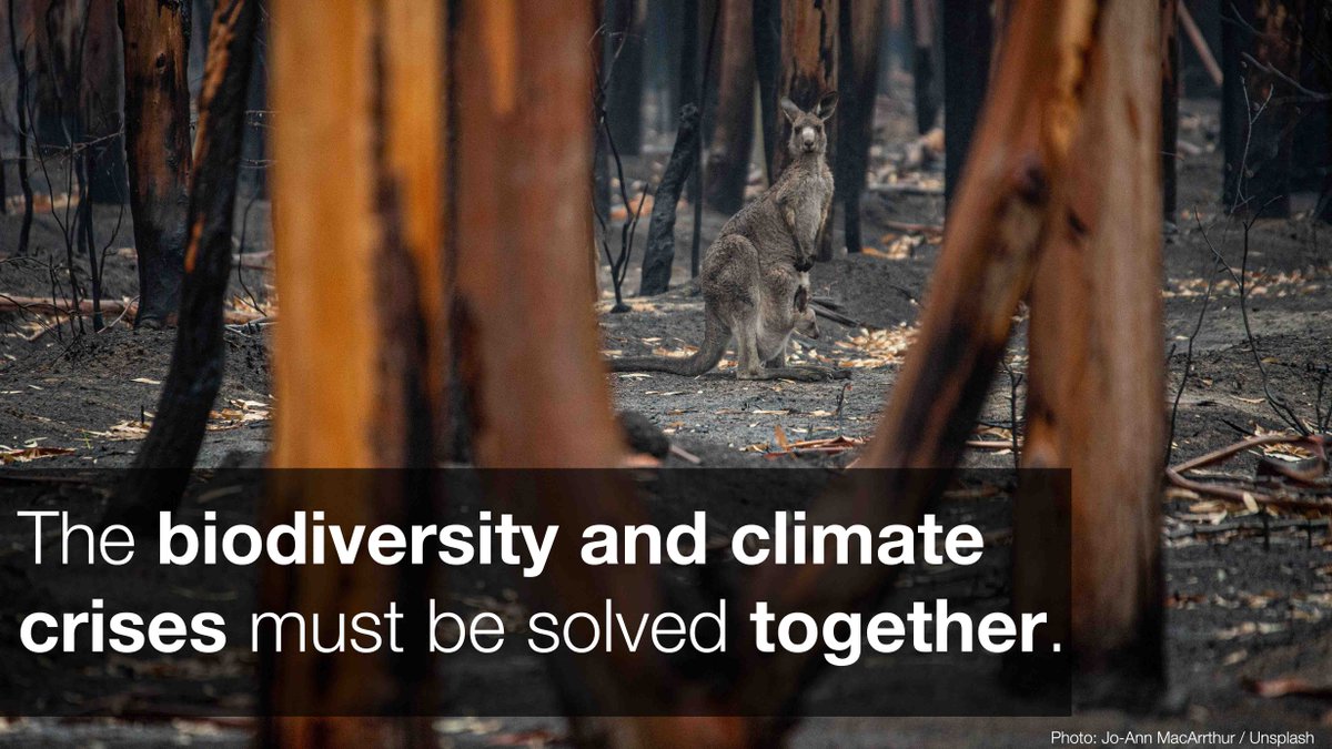 A fundamental change to humanity’s current way of living is vital for tackling the interlinked crisis of biodiversity loss and #ClimateChange. 

#COP15