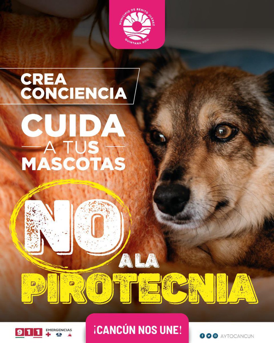 anapatyp's tweet photo. En esta temporada decembrinas di no a la pirotecnia con explosivos🚫🧨 

Evita accidentes graves y recuerda que a nuestras mascotas les lastima el sonido 🐶🐈

Con atención y prevención, disfrutamos al máximo las festividades.🎄
Protección Civil Cancún

#CancúnNosUne https://t.co/enVKpsMUc6