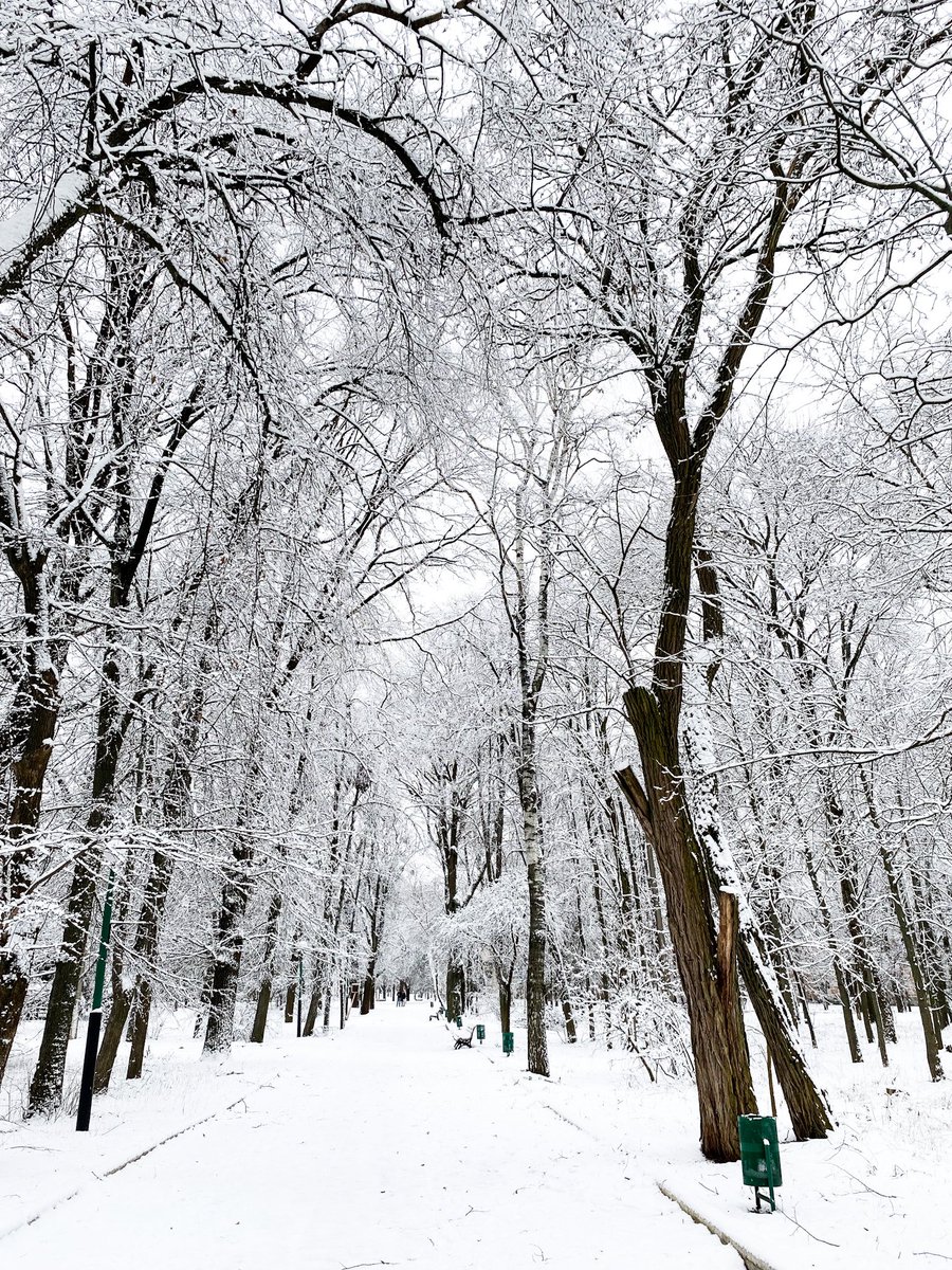 AleksandraMo8's tweet photo. Winter in Ukraine #ukraine #UkraineRussiaWar #winter #UkraineWar #Glory #Україна #HelpUkraine #SupportUkraine https://t.co/S5MxBwnEtO