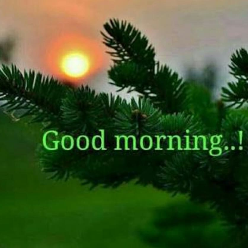 ⬛ Good Morning Quotes Christian. Download our GOOD MORNING app 👉 bit.ly/MyGoodMorningA… 👈 #goodmorningquotes #goodmorningimages #goodmorning