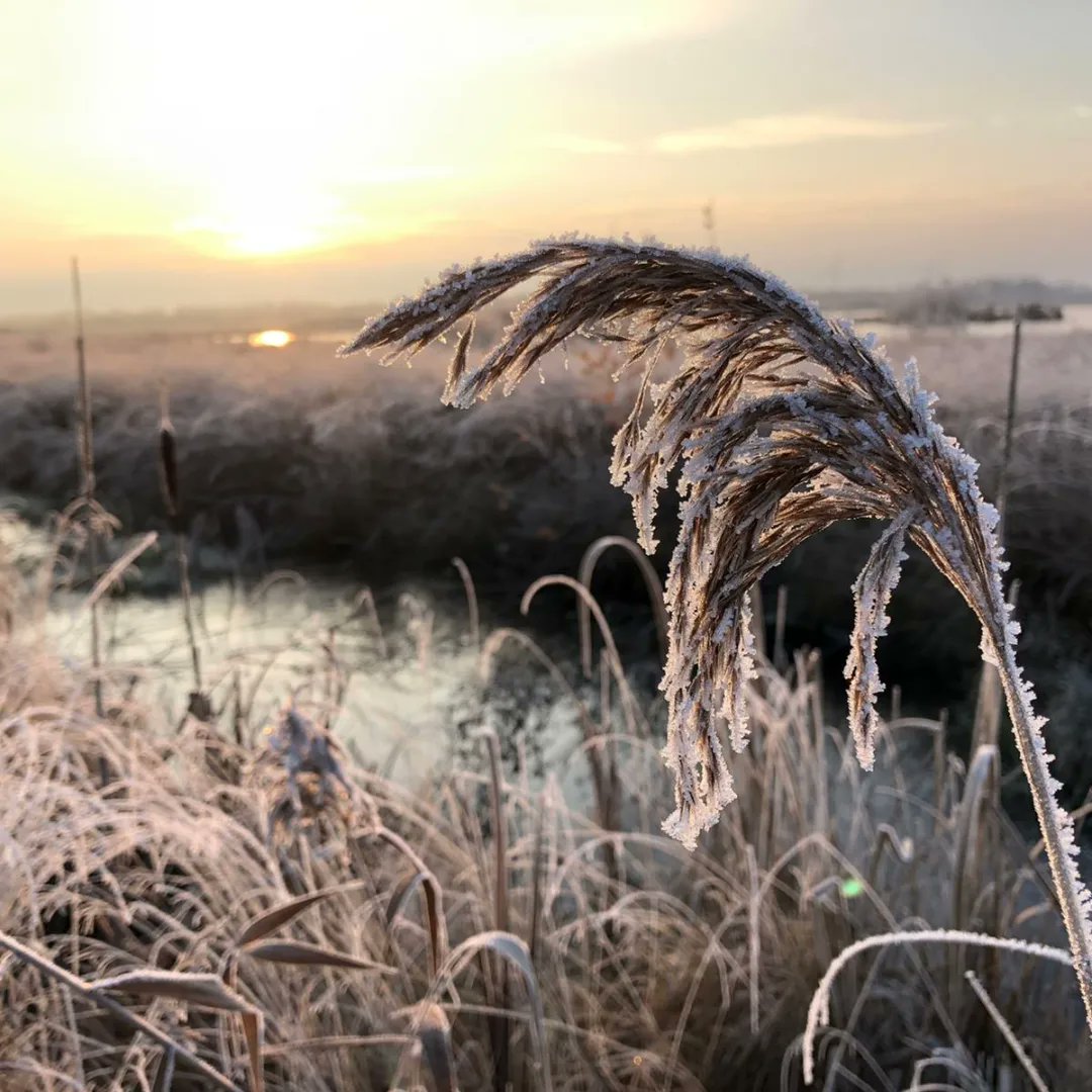 FutureNatureWTC's tweet photo. Some of our team have spent a cold but beautiful few days visiting two Peatland sites training for an exciting project kicking off next year. We'll be surveying multiple sites across the UK in partnership with The Wildlife Trust Consultancies. #ecologylife #wintersurvey https://t.co/B7W1tjwOp4