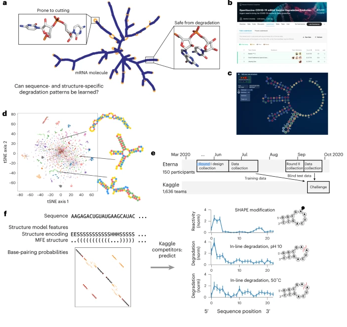 tunguz's tweet image. I am very pleased to announce that our paper &quot;Deep learning models for predicting RNA degradation via dual crowdsourcing&quot; has been published in Nature Machine Intelligence!

1/7