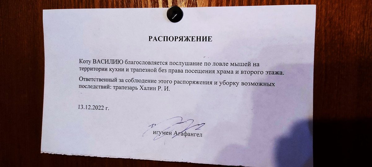 Русские летописи и кот Онфим tweet media