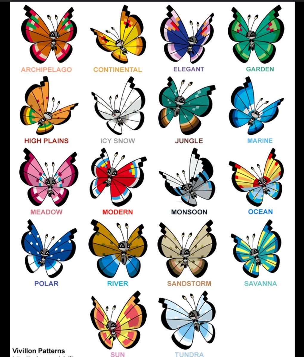 PkmnMasterHolly tweet media