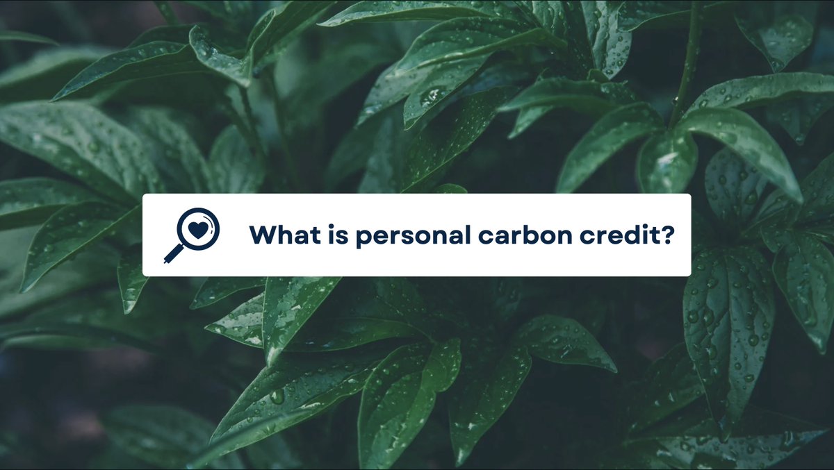 ChatGPT: Personal carbon credit is like a diet for the planet. Healthy but boring and it's hard for people to stay motivated. 

Let's make it fun from here.
 
Join DC: discord.gg/DJK65derk3

#carbon #Play2Earn #NFT
