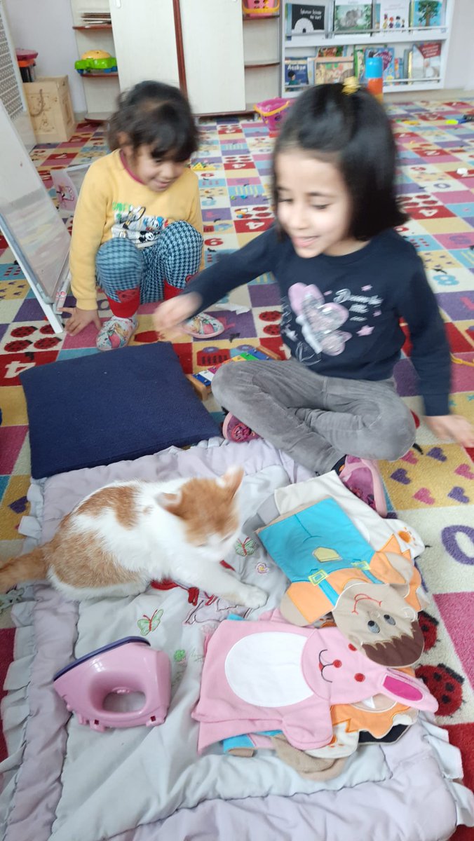 Songül Bozkuş (@kizikaplan) on Twitter photo Okulumuzun yeni üyesi Portakal 🤗🤗 <a href="/HamurMEM1/">Hamur İlçe Millî Eğitim Müdürlüğü</a> <a href="/agrimem/">AĞRI MEM</a> <a href="/ali___yildirim/">Ali Yıldırım</a> <a href="/hasan_kokrek/">Hasan Kökrek</a> <a href="/kayakarakoc/">Kaya Karakoç</a> <a href="/HamurKaymakmlik/">T.C. Hamur Kaymakamlığı</a> Okulumuzun yeni üyesi Portakal 🤗🤗 <a href="/HamurMEM1/">Hamur İlçe Millî Eğitim Müdürlüğü</a> <a href="/agrimem/">AĞRI MEM</a> <a href="/ali___yildirim/">Ali Yıldırım</a> <a href="/hasan_kokrek/">Hasan Kökrek</a> <a href="/kayakarakoc/">Kaya Karakoç</a> <a href="/HamurKaymakmlik/">T.C. Hamur Kaymakamlığı</a>