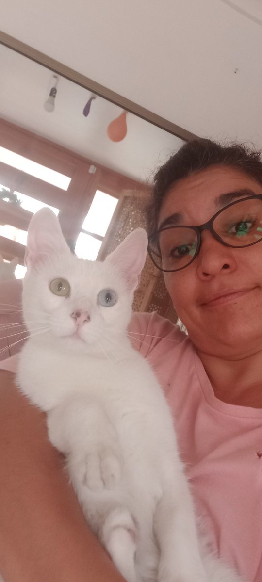 MyriMytita's tweet photo. Mi gata es única entre las únicas!! Sorda, blanca, lunares en nariz, gritona, traviesa, regalón, llorona, maldadosa, tierna e intrépida ay mi gata que te amo
#AmarMas #FamiliaMultiespecie #MiGata 🥰 https://t.co/BE0GHWNYny