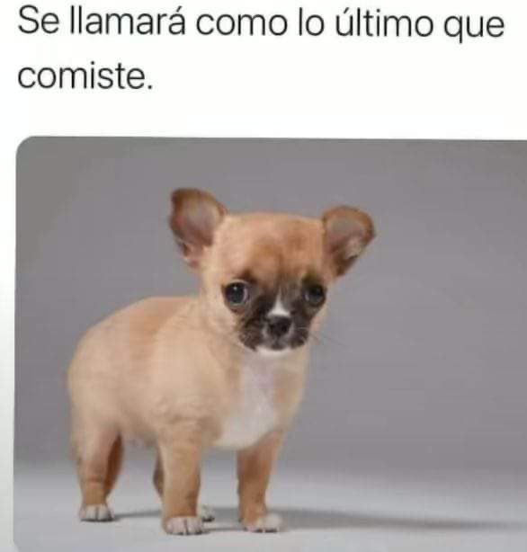 Lomitos Suavecitos tweet media