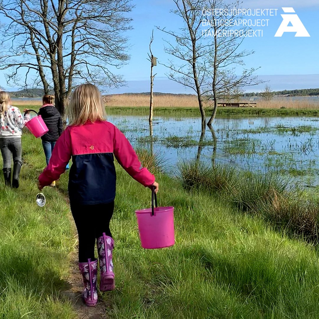 Itämeriprojektin rahoittama Nabbenin kosteikko palkittiin tänä vuonna Pohjoismaiden neuvoston ympäristöpalkinnolla! Hieno tunnustus, joka jättää yhden kysymyksen: mitä seuraavana? Hae rahoitusta omalle ideallesi Itämeriprojektin sivuilla!
