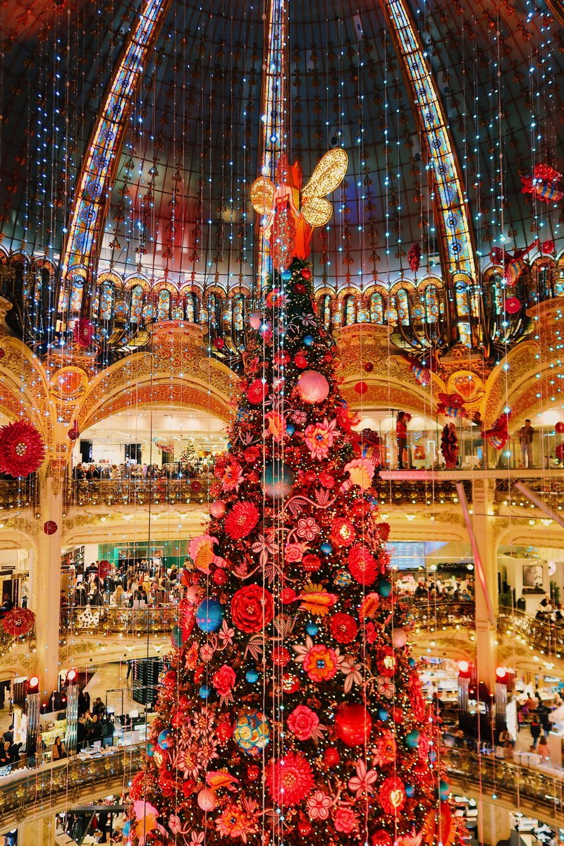 VIParis's tweet photo. Galeries Lafayette past...#ThrowbackThursday #Paris #Travel #ThursdayThoughts #holidayseason #France #HolidaysAreComing 📸 Bing Hao💖💞 https://t.co/D839dorTlg