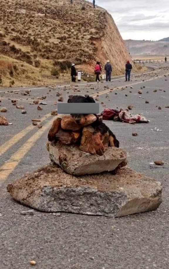 Liberfach0's tweet photo. ⚠️ | En Moquegua, los "manifestantes pacíficos" están sacrificando a los cachorros sustraídos de las comisarias asaltadas, y los colocan sobre piedras para burlarse de la PNP y FFAA, ésto lo vi en los 80's, pero ojo, NO hay que terruquearlos https://t.co/j8QL1TbM1E