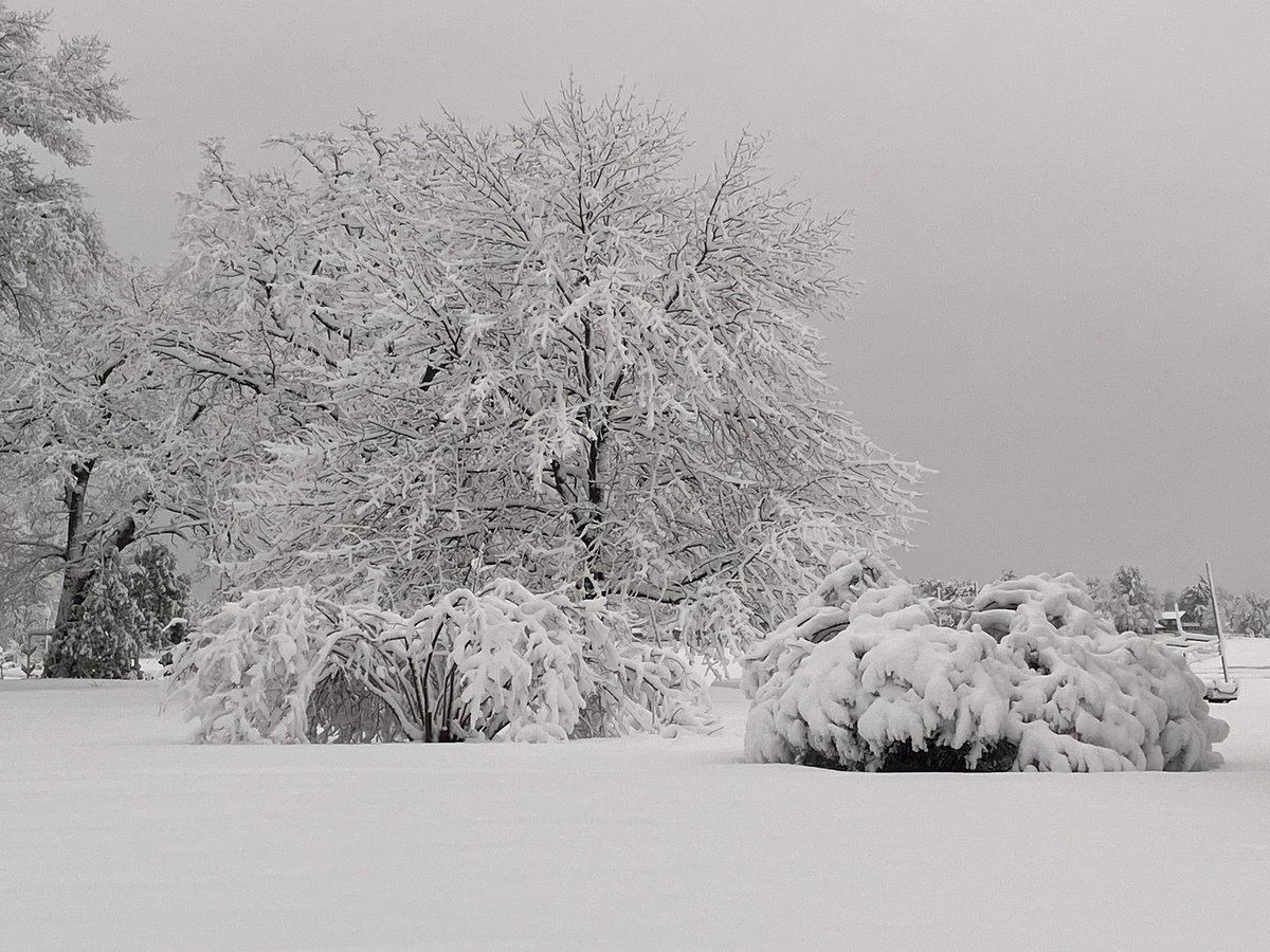 ArigatoFox's tweet photo. Lots of snow this morning #Wisconsin https://t.co/b6XIOwdADj
