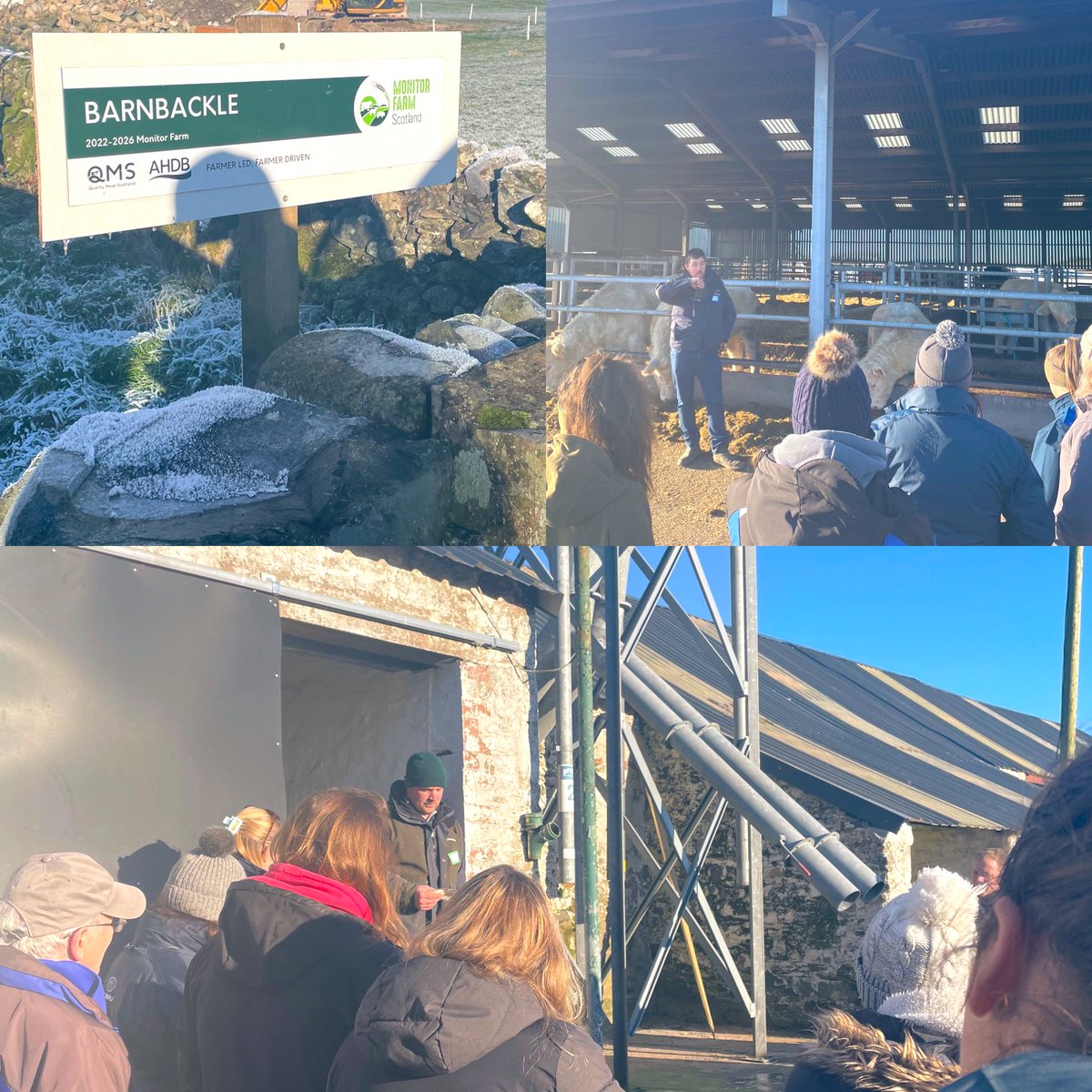 As part of The Stewartry Veterinary Centre, we’re delighted to be supporting Richard <a href="/Richardmccorni1/">Richard mccornick</a> , Hayley, Craig and Michelle in their monitor farm journey. What a great first meeting - well done team. 💪🏻 🐮 🐑 <a href="/AHDB_Scot/">AHDB Scotland</a> <a href="/qmscotland/">QMS</a> <a href="/monitorfarms/">Monitor Farm Scotland</a> 
#farmvet #farmvetlife