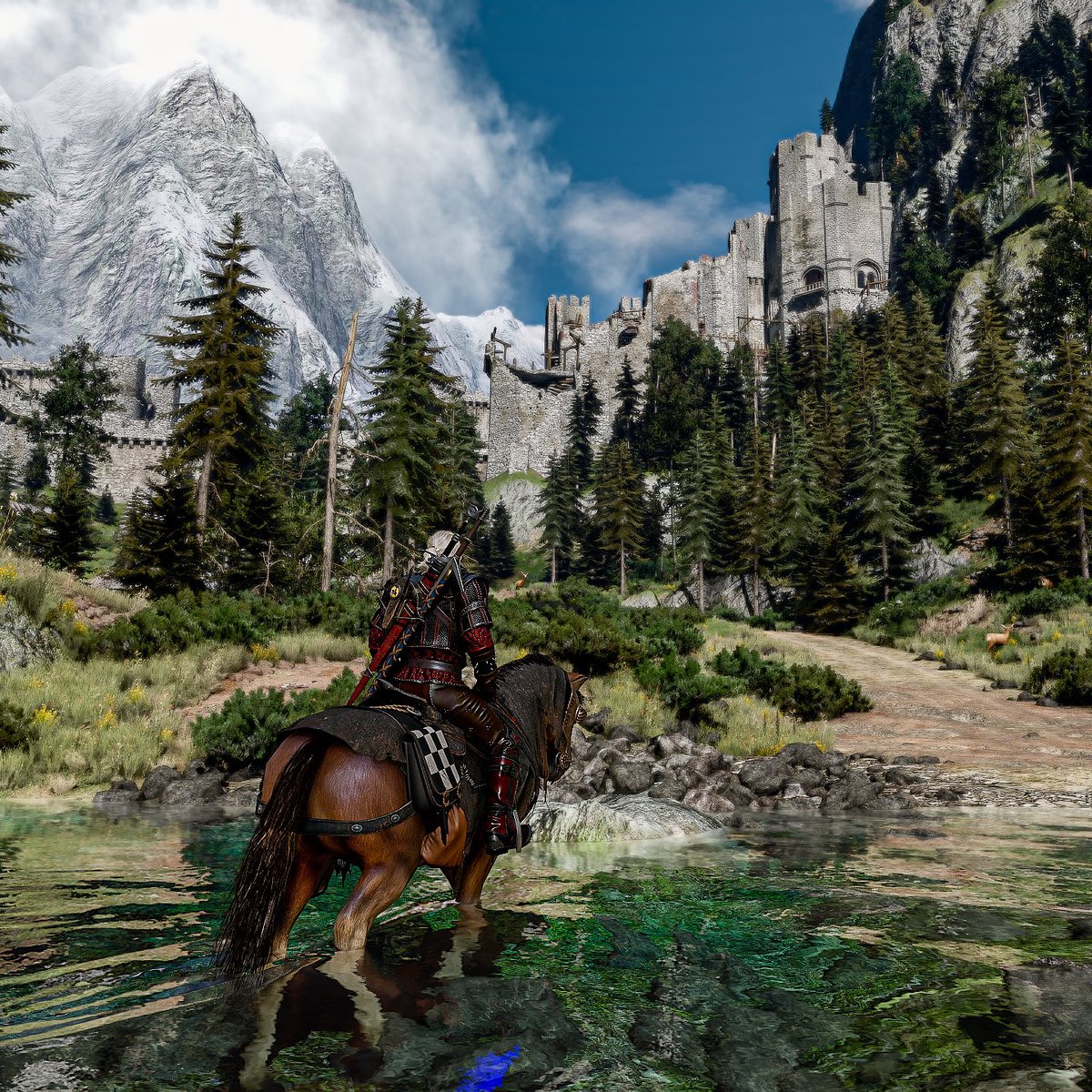 Kasunjay's tweet photo. Wandering with Roach 🐎#witcher3nextgen #witcher3 #CDProjekt #VirtualPhotography #ZarnGaming #VGPNetwork #VGPUnite  #WorldofVP #NVIDIA #RTXOn https://t.co/cg0VJhMQED