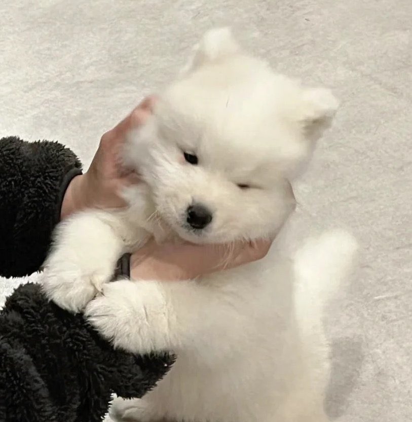 ต่อปจ๋า <a href="/lyrajenox/">ทอปกัย ตำรวจบ0ท</a>