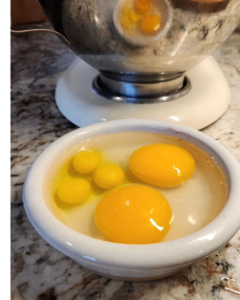 FreshEggsDaily's tweet photo. Chicken math at it's finest. I needed 4 eggs for my recipe. We didn't have any chicken eggs, so instead I used:
2 duck eggs = 3 chicken eggs
3 quail eggs = 1 chicken egg
Total equivalent --> 4 chicken eggs. And my cake turned out beautifully.
.
.
.
#eggs #fresheggs #freshe… https://t.co/4fIlWehUEf